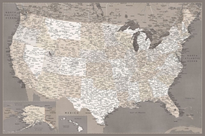 Picture of HIGHLY DETAILED MAP OF THE UNITED STATES, DARK TAUPE