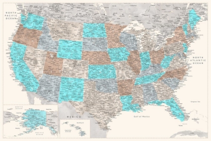 Picture of HIGHLY DETAILED MAP OF THE UNITED STATES, ROMY