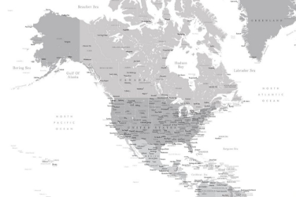 Picture of GRAY MAP OF NORTH AMERICA WITH CITIES