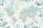 Picture of DETAILED WORLD MAP WITH CITIES AND FLORALS, MARIE