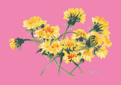 Picture of YELLOW DANDELIONS ON PINK