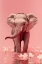 Picture of YOUNG ELEPHANT