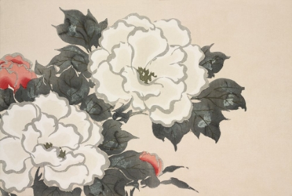 Picture of FLOWERS FROM MOMOYOGUSA