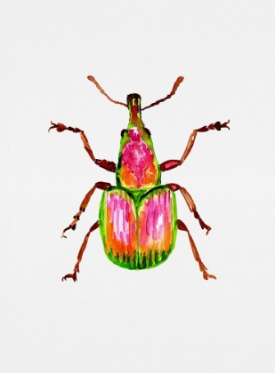 Picture of APRICOT WEEVIL OR EPIRHYNCHITES AURATUS