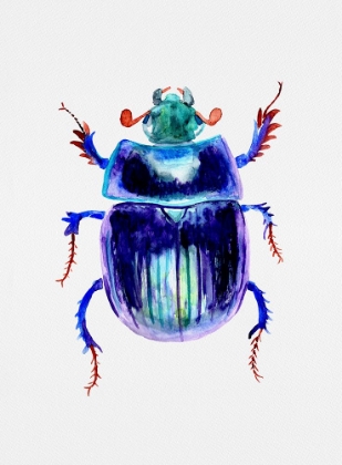 Picture of EARTH-BORING DUNG BEETLE OR ANOPLOTRUPES STERCOROSUS