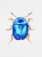Picture of BLUE LEAF BEETLE OR COLAPHUS SOPHIAE