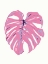 Picture of MONSTERA LEAF PINK
