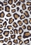 Picture of GOLD BLACK LEOPARD PRINT