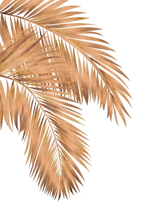 Picture of GOLDEN PALMS WHITE COPPER 1