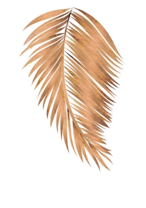 Picture of COPPER GOLD PALM, LEAF 4