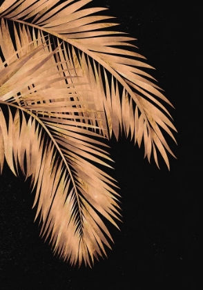 Picture of GOLDEN PALMS BLACK COPPER 1