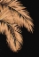 Picture of GOLDEN PALMS BLACK COPPER 1