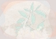 Picture of PASTEL BOTANICS
