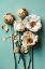 Picture of DRY FLOWERS ON TURQUOISE BACKGROUND