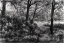 Picture of CLINGENDAEL A?? 16-03-23