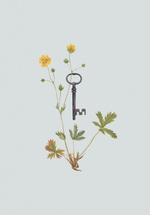 Picture of BOTANICAL VINTAGE KEY