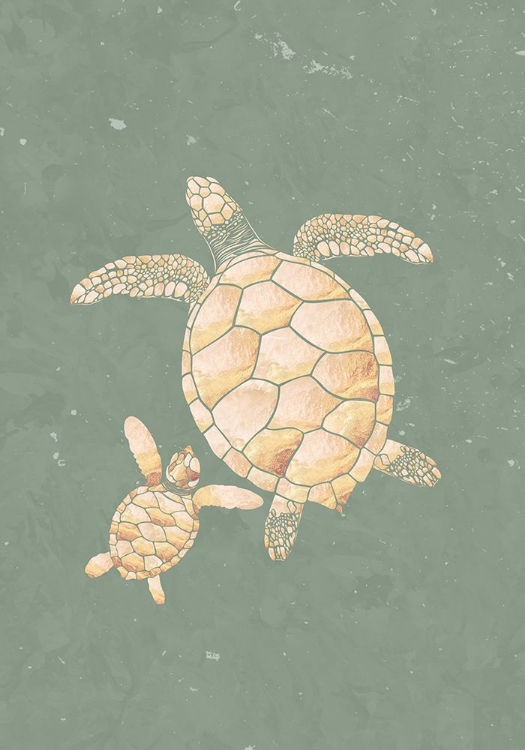 Picture of GOLD SAGE GREEN TURTLES