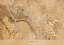 Picture of SEPIA VINTAGE MAP OF HANNOVER DOWNTOWN GERMANY