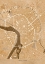 Picture of SEPIA VINTAGE MAP OF TOULOUSE DOWNTOWN FRANCE