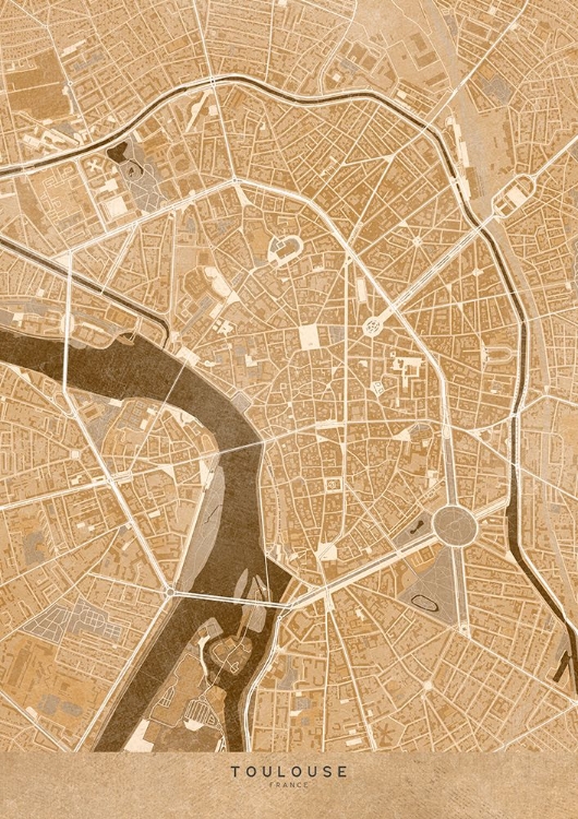 Picture of SEPIA VINTAGE MAP OF TOULOUSE DOWNTOWN FRANCE