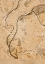 Picture of SEPIA VINTAGE MAP OF LYON FRANCE