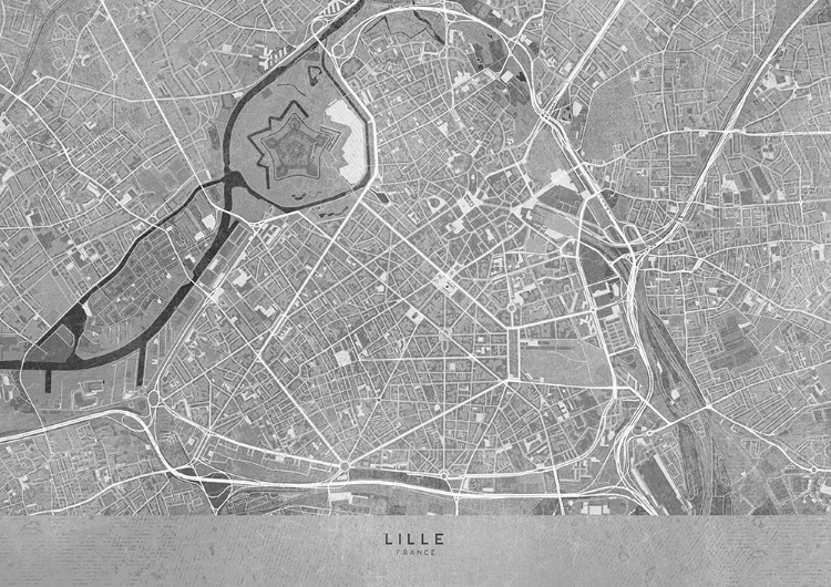 Picture of GRAY VINTAGE MAP OF LILLE DOWNTOWN FRANCE