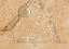 Picture of SEPIA VINTAGE MAP OF LILLE DOWNTOWN FRANCE