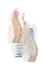 Picture of SOFT PINK BLUE 2