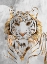 Picture of GOLDEN TIGER AND CONCRETE