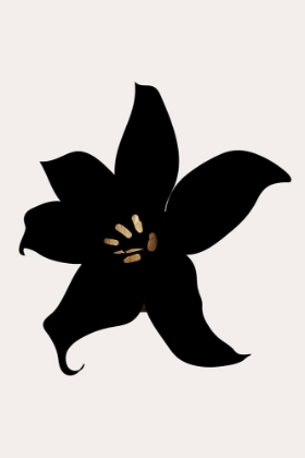 Picture of DARK ORCHID