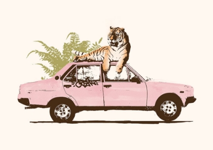 Picture of TIGER ON CAR