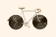 Picture of LICORICE BIKE