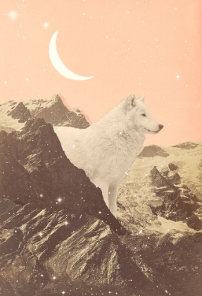 Picture of GIANT WHITE WOLF IN MOUNTAINS