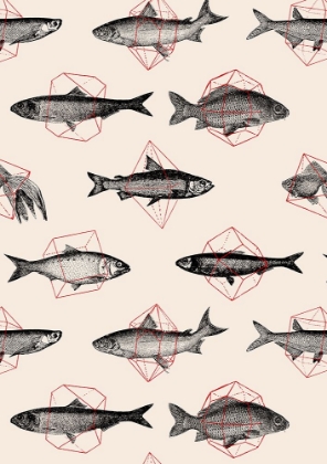 Picture of FISHES IN GEOMETRICS NAO4