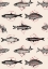 Picture of FISHES IN GEOMETRICS NAO4