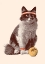 Picture of CHAT TENNIS