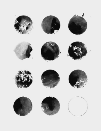 Picture of TWELVE MOONS