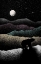 Picture of WANDERING BEAR