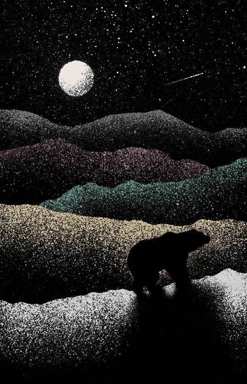 Picture of WANDERING BEAR
