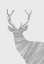 Picture of STAG GREY