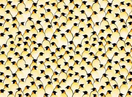 Picture of PENGUINS