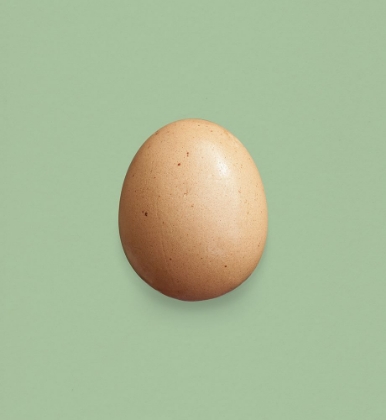 Picture of JUST AN EGG MAIN