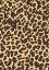 Picture of JUST A LEO