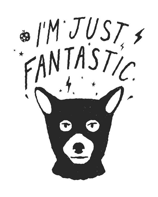 Picture of IM JUST FANTASTIC