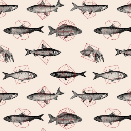 Picture of FISH IN GEOMETRICS NAO1