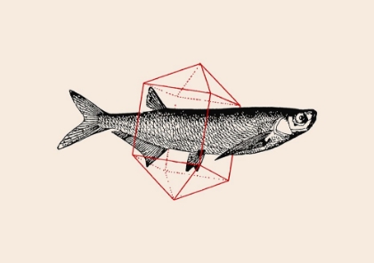 Picture of FISH IN GEOMETRICS NAO2