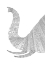 Picture of ELEPHANT NAO3
