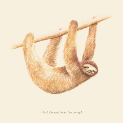 Picture of CSS ANIMALS   SLOTH