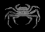 Picture of CRAB