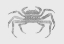 Picture of CRAB GREY POSTER GREY